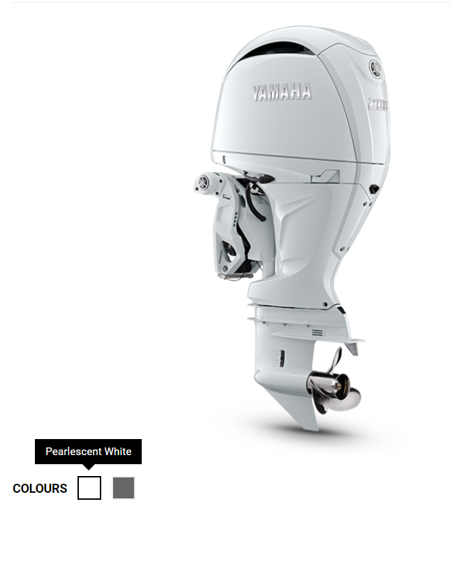 Screenshot 2024-07-01 105854 F200 3 WHITE